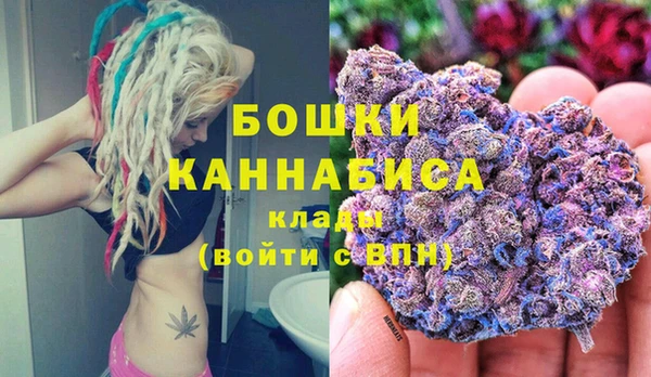 амф Долгопрудный