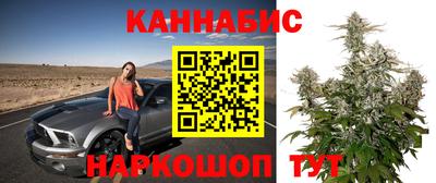 spice Заводоуковск
