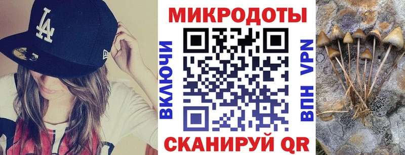 где найти наркотики  МЕГА как войти  Псилоцибиновые грибы Psilocybine cubensis  Клин 