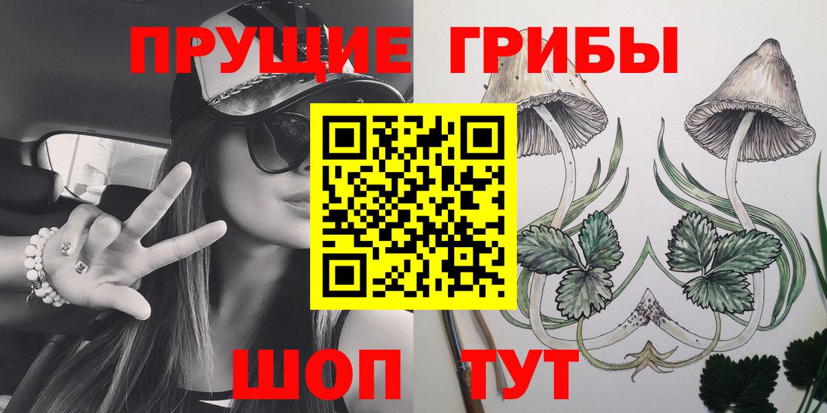 Псилоцибиновые грибы ЛСД  Вход с VPN  Клин  Псилоцибиновые грибы Psilocybine cubensis 