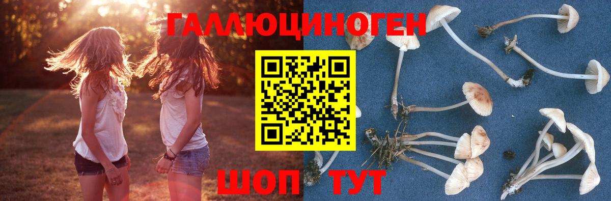 Галлюциногенные грибы мухоморы Клин